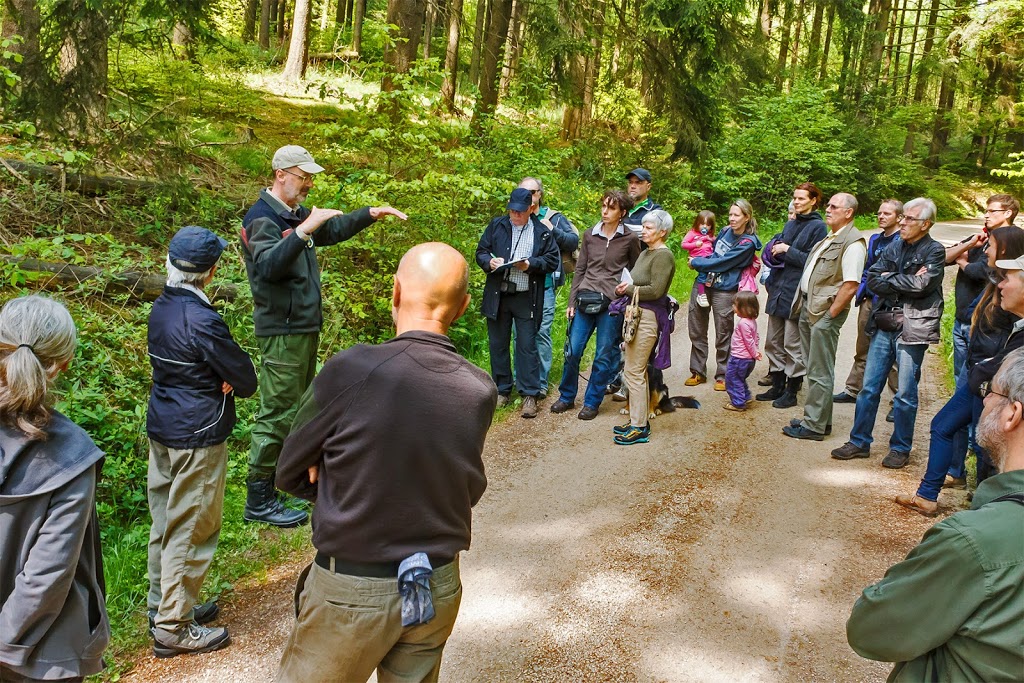 Peter Wohlleben přednáší studentům v lese Hümmel.