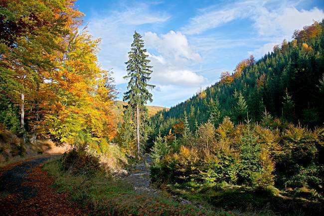 Bezručovo údolí (reprofoto)