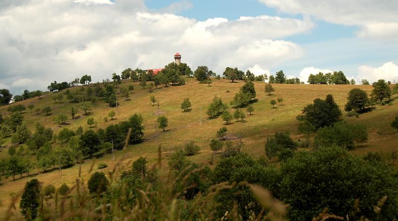 Hora Svaté Kateřiny, Růžový vrch s rozhlednou (reprofoto)